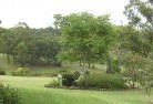 Swanwaterresidential-landscaping-40.jpg; ?>